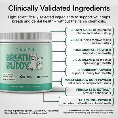 Breath Buddy